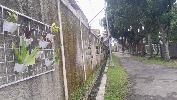 UPI Kampus Cibiru Tata Lingkungan melalui Vertical Garden sebagai Implementasi GreenMetric